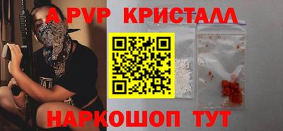 СК Кингисепп