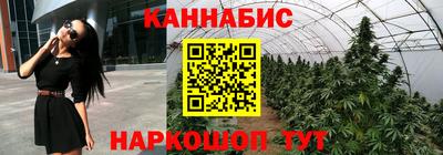 СК Кингисепп