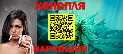 СК Кингисепп