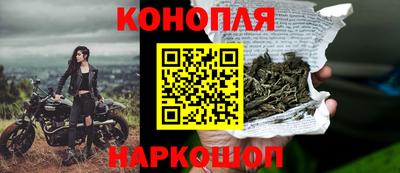 СК Кингисепп
