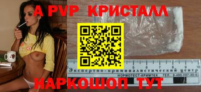 СК Кингисепп