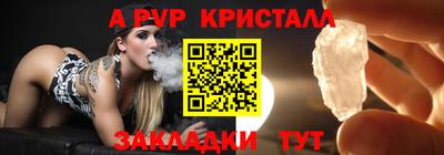 СК Кингисепп