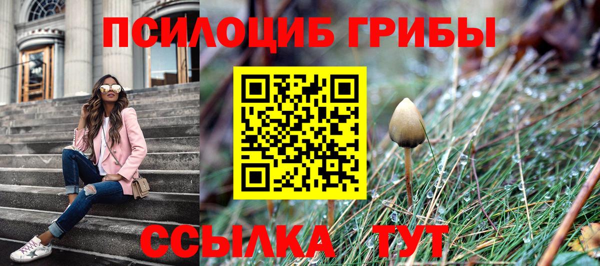 Галлюциногенные грибы Magic Shrooms  Вход с VPN  Ухта  Галлюциногенные грибы Psilocybe 