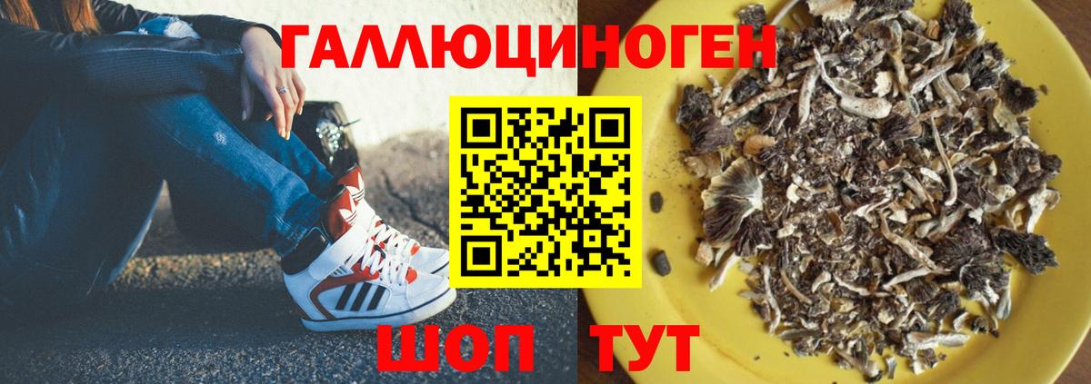 Галлюциногенные грибы Magic Shrooms Ухта